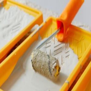 Paint Tray